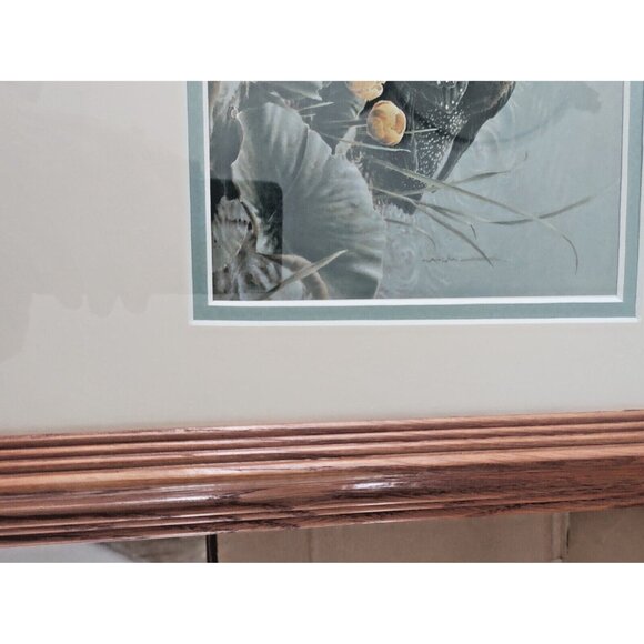 Framed & Matted Michael Dumas Art Print "Bright Water" Loons and Chicks 21 x 17 - Picture 4 of 13